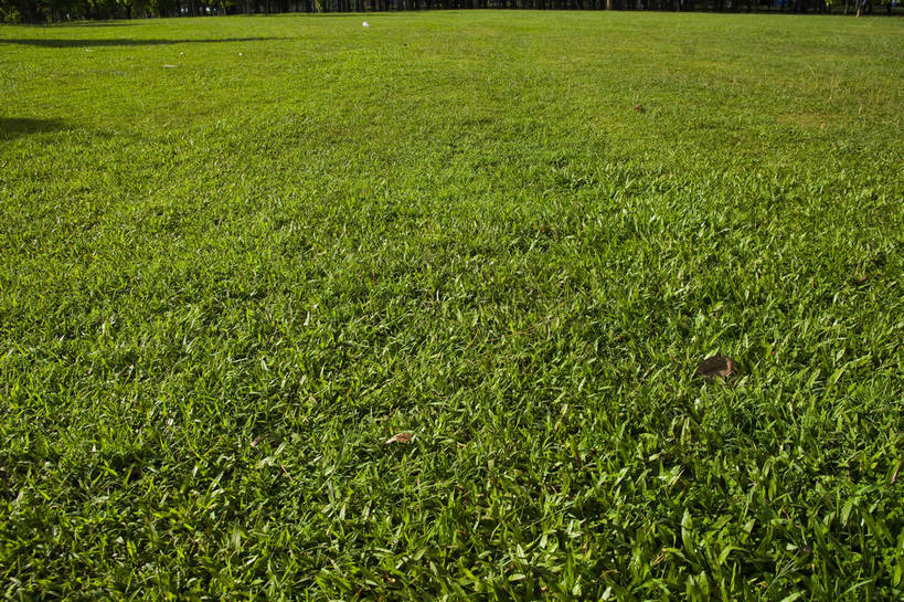 无人,横图,彩色,室外,白天,旅游,草坪,中国,亚洲,景观,海南,绿地,休闲,旅游胜地,摄影,海南省,东亚,中华人民共和国,华南地区,省会,海口,海口市,琼,旅行,龙华区,万绿园,bj174