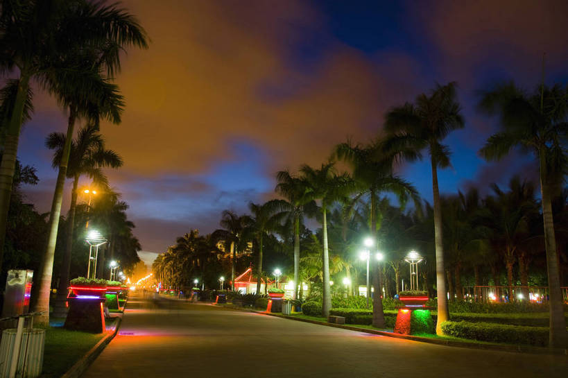 无人,横图,彩色,室外,特写,旅游,树林,植物,城市风光,夜景,椰树,叶子,中国,亚洲,景观,灯光,绿叶,树,树木,海南,绿色,天空,自然,灿烂,嫩叶,旅游胜地,摄影,海南省,生长,成长,东亚,中华人民共和国,华南地区,省会,海口,海口市,琼,叶,叶片,棕榈,椰子树,旅行,龙华区,万绿园,bj174