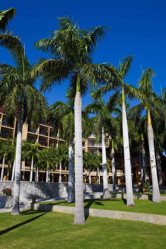 无人,竖图,彩色,室外,白天,旅游,草坪,树林,建筑,酒店,三亚,中国,亚洲,景观,海湾,海南,天空,绿地,休闲,旅游胜地,竖,摄影,海南省,度假村,东亚,三亚市,中华人民共和国,华南地区,琼,旅行,亚龙湾,红树林酒店,亚龙湾国家旅游度假区,bj174