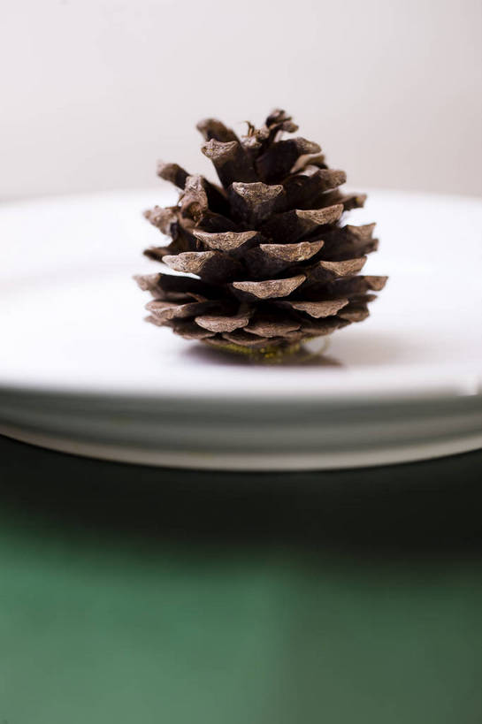 无人,竖图,彩色,室内,静物,中国,图片,艺术品,松子,装饰品,两个,盘子,竖,摄影,礼品,东亚,影棚拍摄,bj174