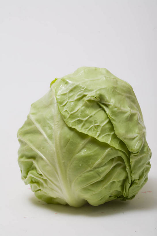 竖图,彩色,特写,白天,蔬菜,静物,中国,亚洲,图片,食品,白菜,食物,一个,竖,摄影,东亚,影棚拍摄,圆白菜,bj174