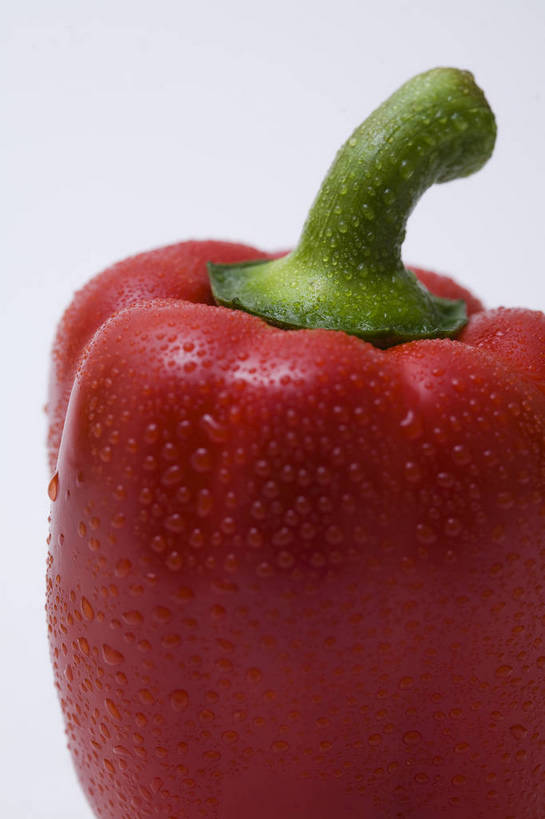 竖图,彩色,特写,白天,辣椒,蔬菜,静物,中国,亚洲,图片,食品,水珠,食物,一个,竖,摄影,彩椒,东亚,辣角,红海椒,大椒,辣虎,广椒,甜椒,柿子椒,辣子,海椒,番椒,灯笼椒,影棚拍摄,bj174