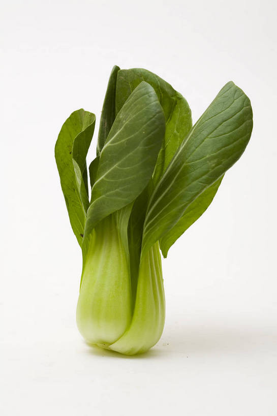 竖图,彩色,特写,白天,蔬菜,静物,中国,亚洲,图片,青菜,食品,食物,排列,一个,竖,摄影,东亚,绿叶菜,站立,影棚拍摄,bj174
