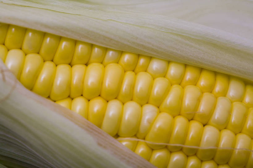 横图,彩色,特写,白天,玉米,静物,中国,亚洲,图片,食品,粮食,食物,一个,摄影,农产品,东亚,影棚拍摄,bj174