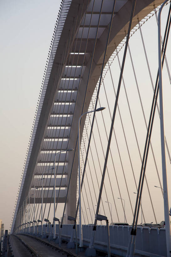 无人,竖图,彩色,室外,特写,白天,旅游,度假,名胜古迹,标志建筑,城市,大桥,道路,地标,建筑,路灯,桥梁,上海,中国,局部,遗迹,图片,桥,交通,古迹,文物,娱乐,建设,现代,古建筑,现代建筑,拱桥,地标建筑,享受,休闲,卢浦大桥,旅游胜地,放松,摄影,拱形,都市风光,文明,中国文化,古文明,铁索,繁荣,旅行,bj174