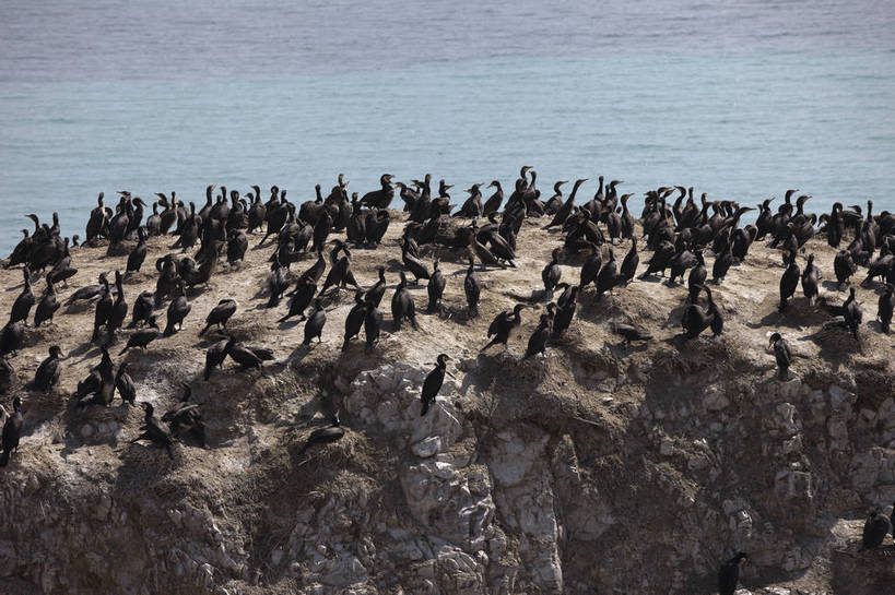 无人,横图,室外,白天,旅游,度假,湖,名胜古迹,田园,标志建筑,地标,建筑,鸟,青海湖,鸟岛,遗迹,岛,古迹,文物,娱乐,建设,古建筑,自然,动物,享受,休闲,旅游胜地,放松,风光,生态,古文明,青海,旅行,bj174