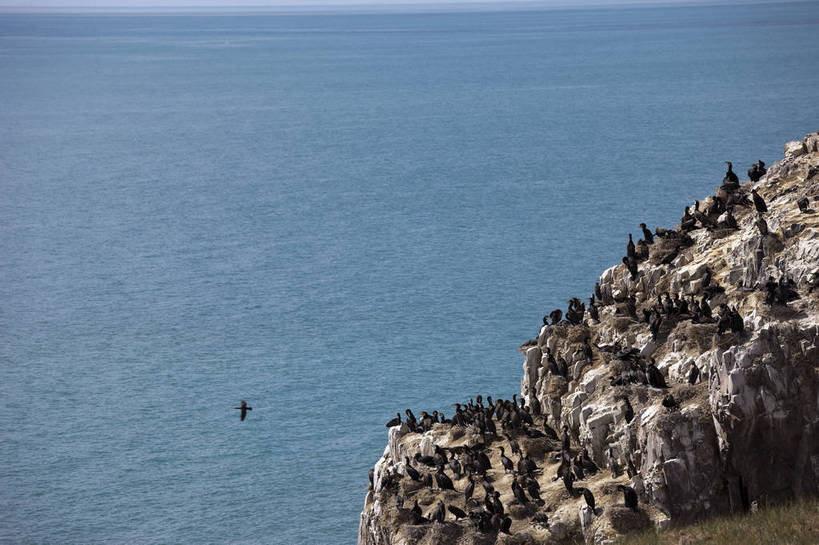 无人,横图,室外,白天,旅游,度假,湖,名胜古迹,田园,标志建筑,地标,建筑,鸟,青海湖,鸟岛,遗迹,岛,古迹,文物,娱乐,建设,古建筑,自然,动物,享受,休闲,旅游胜地,放松,风光,生态,古文明,青海,旅行,bj174