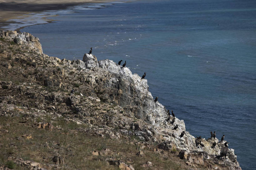无人,横图,室外,白天,旅游,度假,湖,名胜古迹,田园,标志建筑,地标,建筑,鸟,青海湖,鸟岛,遗迹,岛,古迹,文物,娱乐,建设,古建筑,自然,动物,享受,休闲,旅游胜地,放松,风光,生态,古文明,青海,旅行,bj174