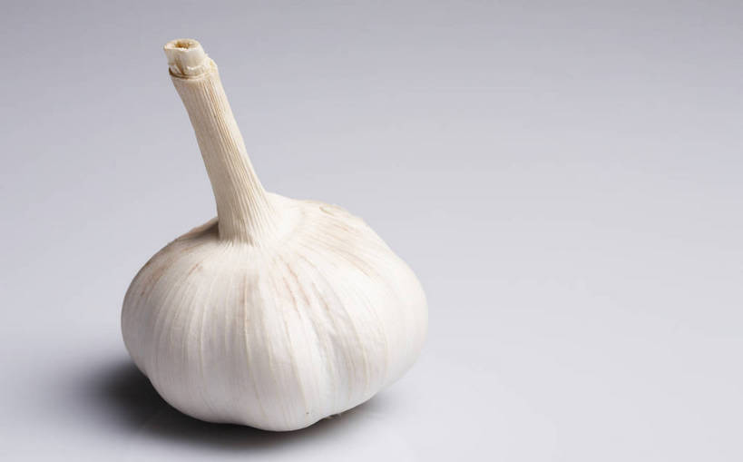 无人,横图,特写,棚拍,背景,蒜,静物,新鲜,调料,调味,生活,营养,饮食,白色,健康,成熟,杀菌,物体,主题,健康食品,成分,bj174