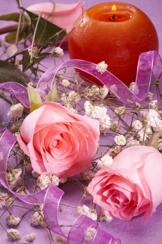 无人,竖图,特写,爱情,纯洁,水,植物,玫瑰,静物,情人节,湿,节日,芳香,香气,液体,水滴,浪漫,花,花瓣,花朵,花卉,开花,红色,自然,露珠,温馨,喜庆,香味,摄影,影棚,气味,假期,简单,象征,物体,摄影棚,关心,精美,暖色调,甜蜜,影棚拍摄,拍摄,bj174