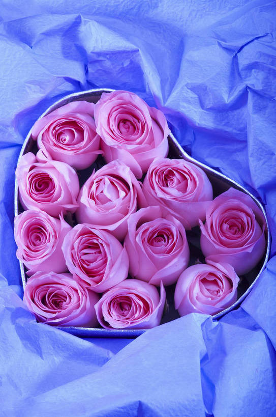 无人,竖图,特写,爱情,纯洁,水,植物,玫瑰,静物,情人节,湿,节日,芳香,香气,液体,水滴,浪漫,花,花瓣,花朵,花卉,开花,红色,自然,露珠,温馨,喜庆,香味,摄影,影棚,气味,假期,简单,象征,物体,摄影棚,关心,精美,暖色调,甜蜜,影棚拍摄,拍摄,bj174