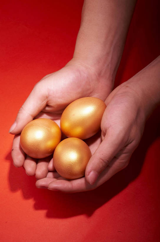 手,捧,竖图,特写,商务,安全,静物,红色背景,蛋,黄金,概念,成年,手部,金色,规划,储蓄,财富,金融,理财,经济,金蛋,流通,贸易,卓越,责任,宝贵,储备,完美,手捧,商业,bj174