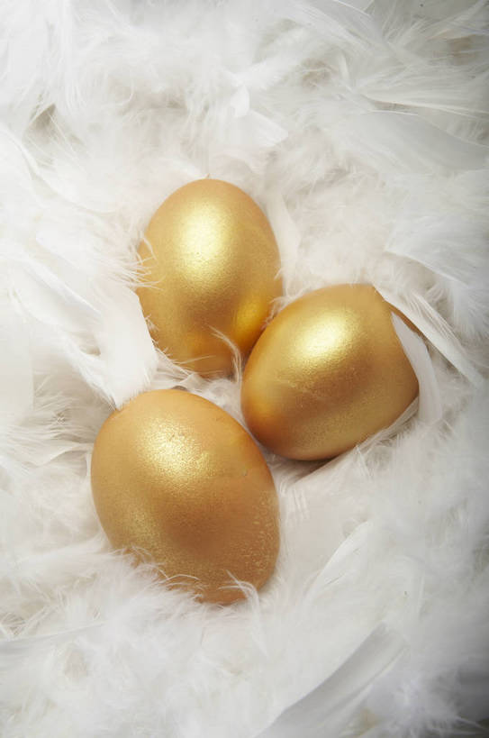 竖图,特写,商务,安全,静物,羽毛,红色背景,蛋,黄金,概念,成年,手部,金色,规划,储蓄,财富,金融,理财,经济,金蛋,流通,贸易,卓越,责任,宝贵,储备,完美,手捧,商业,bj174