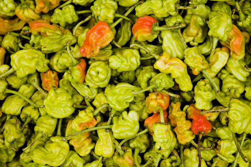 无人,横图,彩色,室外,白天,农作物,辣椒,蔬菜,静物,昆明,中国,一堆,大量,图片,云南,物品,食物,特产,多个,摄影,农产品,铺满,bj174