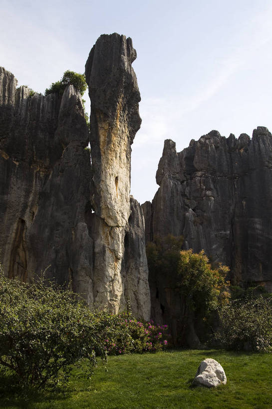 无人,竖图,彩色,室外,白天,旅游,度假,草地,草坪,石头,名胜古迹,石林,标志建筑,地标,建筑,昆明,中国,亚洲,遗迹,石子,图片,巨石,古迹,文物,娱乐,建设,古建筑,云南,树木,享受,休闲,旅游胜地,放松,摄影,文明,中国文化,自然风光,昆明市,古文明,东亚,云南省,中华人民共和国,省会,西南地区,滇,自然遗产,石林县,石林彝族自治县,石块,岩石,旅行,云南石林地质公园,传统文化,bj174