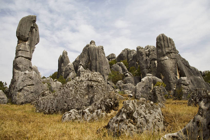 无人,横图,彩色,室外,白天,旅游,度假,草地,草坪,石头,名胜古迹,石林,标志建筑,地标,建筑,昆明,中国,亚洲,遗迹,石子,图片,巨石,古迹,文物,娱乐,建设,古建筑,云南,树木,享受,休闲,旅游胜地,放松,摄影,文明,中国文化,自然风光,昆明市,古文明,东亚,云南省,中华人民共和国,省会,西南地区,滇,自然遗产,石林县,石林彝族自治县,石块,岩石,旅行,云南石林地质公园,传统文化,bj174