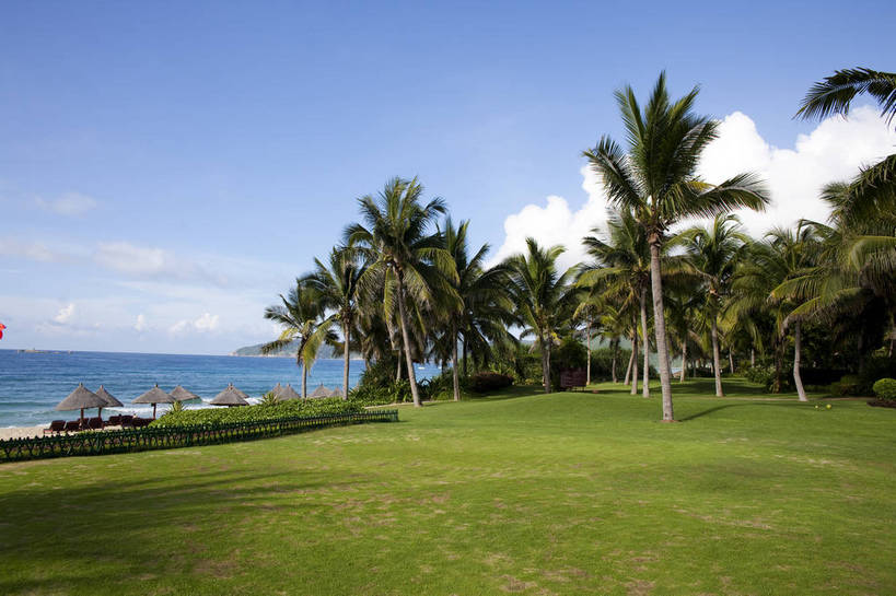 横图,彩色,室外,白天,旅游,度假,草地,草坪,沙滩,山,棕榈树,三亚,图片,海南,天空,自然,海水,休闲,旅游胜地,摄影,潮水,海,海滩,旅行,亚龙湾,bj174