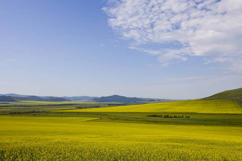 无人,横图,彩色,室外,白天,草地,草原,田园,中国,亚洲,图片,白云,天空,自然,蒙,摄影,风光,空旷,原野,东亚,内蒙古,中华人民共和国,华北地区,内蒙古自治区,额尔古纳,bj174