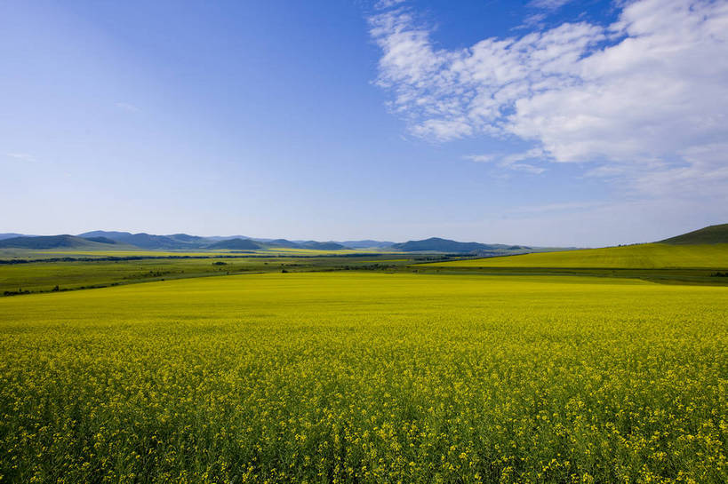 无人,横图,彩色,室外,白天,草地,草原,田园,中国,亚洲,图片,白云,天空,自然,蒙,摄影,风光,空旷,原野,东亚,内蒙古,中华人民共和国,华北地区,内蒙古自治区,额尔古纳,bj174