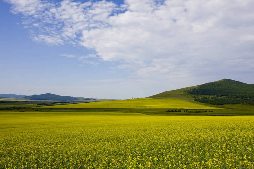 无人,横图,彩色,室外,白天,草地,草原,田园,中国,亚洲,图片,白云,天空,自然,蒙,摄影,风光,空旷,原野,东亚,内蒙古,中华人民共和国,华北地区,内蒙古自治区,额尔古纳,bj174