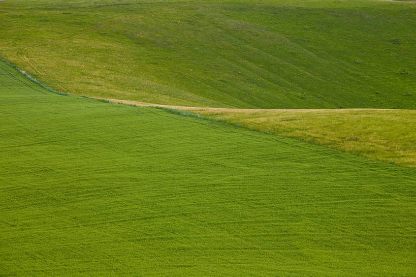 无人,农田,横图,彩色,室外,白天,庄稼,农作物,草地,草原,田园,萱草,中国,亚洲,图片,自然,蒙,摄影,风光,原野,东亚,内蒙古,中华人民共和国,华北地区,疗愁,萱草花,宜男,内蒙古自治区,呼伦贝尔,忘忧草,金针菜,黄花菜,黄花,耕地,庄稼田,bj174
