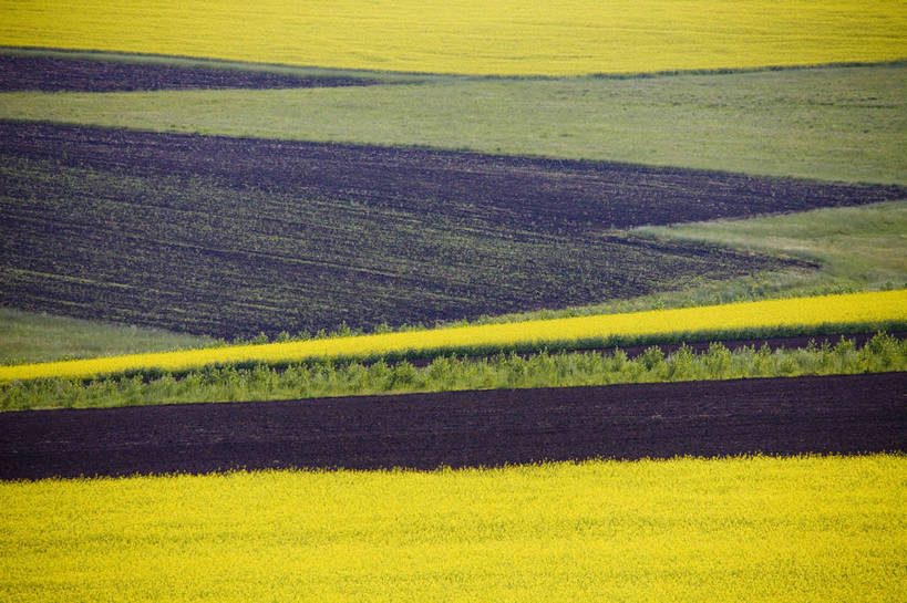 无人,农田,横图,彩色,室外,白天,庄稼,农作物,草地,草原,田园,萱草,中国,亚洲,图片,自然,蒙,摄影,风光,原野,东亚,内蒙古,中华人民共和国,华北地区,疗愁,萱草花,宜男,内蒙古自治区,呼伦贝尔,忘忧草,金针菜,黄花菜,黄花,耕地,庄稼田,bj174