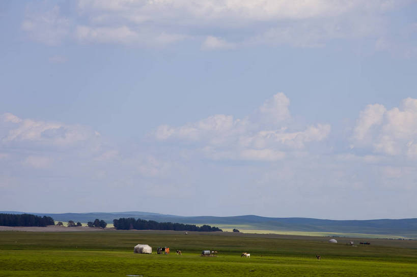 无人,横图,彩色,室外,白天,草地,草原,田园,牛,中国,亚洲,放牧,图片,水塘,白云,天空,自然,蒙,摄影,风光,原野,东亚,内蒙古,中华人民共和国,华北地区,内蒙古自治区,呼伦贝尔,bj174
