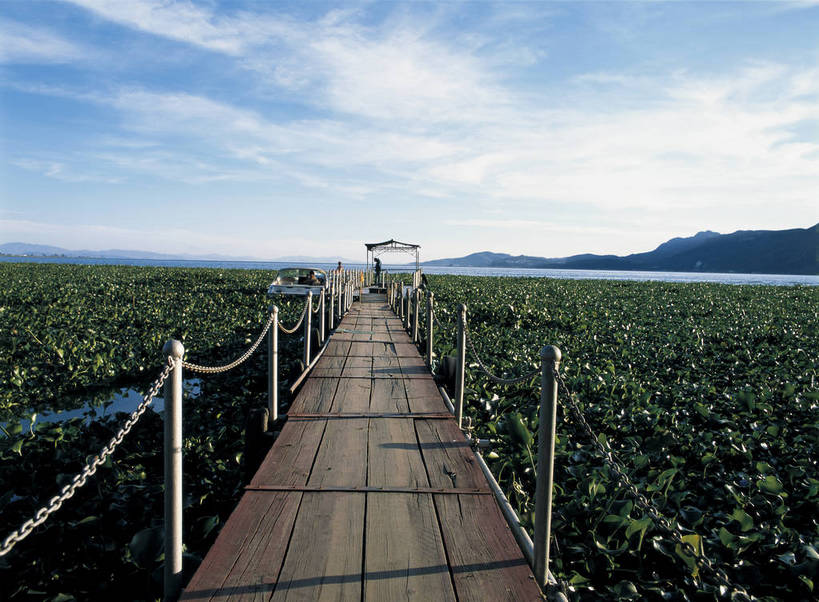 摄影师,横图,彩色,照片,室外,旅游,美景,名胜古迹,山,水,植物,昆明,中国,光线,景点,云,云朵,桥,云彩,古迹,云南,东方,草,树木,名胜,风景,蓝天,阳光,自然,天,摄影,大自然,水域,近景,自然风光,摄像师,滇池,广角,bj174