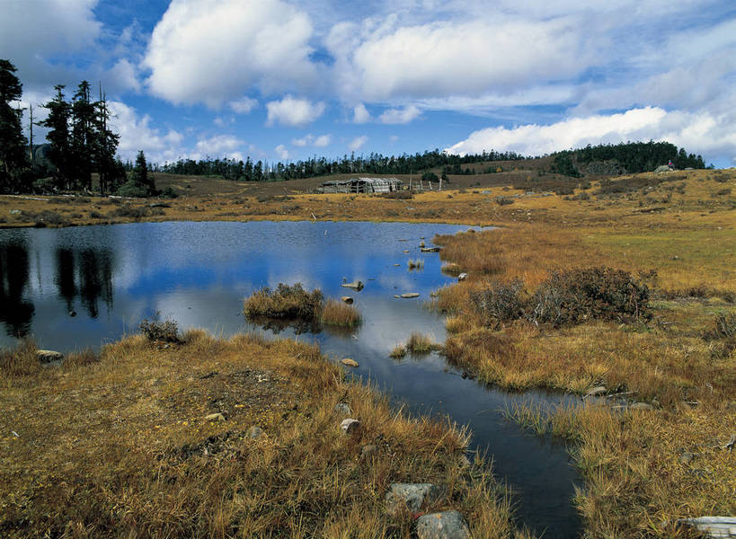 摄影师,横图,彩色,照片,室外,旅游,草原,湖,植物,香格里拉,中国,亚洲,草丛,湖面,水面,云,云朵,云彩,迪庆,云南,东方,草,树木,风景,蓝天,自然,平原,天,远景,摄影,大自然,水域,自然风光,自然现象,东亚,摄像师,中甸,迪庆藏族自治州,云南省,中华人民共和国,西南地区,滇,迪庆州,香格里拉县,千湖山,bj174