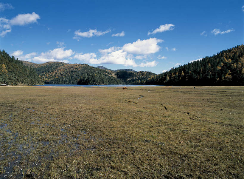 摄影师,横图,彩色,照片,室外,旅游,草地,美景,山,植物,香格里拉,中国,亚洲,光线,景点,山川,水面,云,云朵,云彩,迪庆,云南,东方,草,风景,蓝天,阳光,自然,天,颜色,摄影,大自然,水域,近景,自然风光,自然现象,东亚,摄像师,地貌,中甸,迪庆藏族自治州,云南省,中华人民共和国,西南地区,滇,迪庆州,香格里拉县,大海,海,碧塔海自然保护区,bj174
