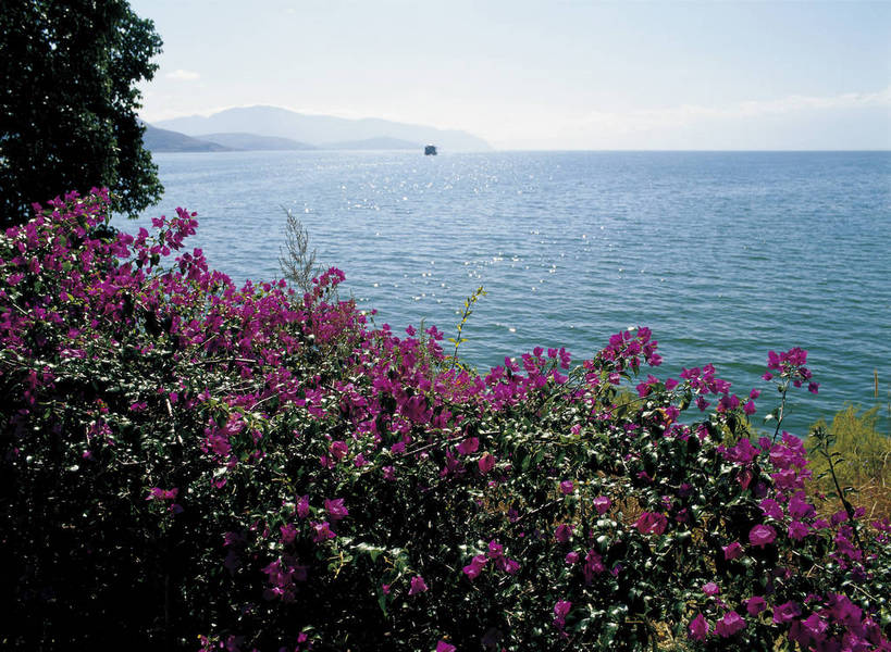 摄影师,横图,彩色,照片,室外,旅游,岛屿,水,植物,大理,中国,亚洲,光线,水面,自然灾害,云南,东方,草,花,树木,风景,阳光,自然,天,摄影,大自然,水域,花草,近景,自然风光,自然现象,东亚,摄像师,云南省,中华人民共和国,西南地区,滇,大理州,大理白族自治州,大海,海,洱源县,南诏风情岛,南诏风情岛风景区,bj174