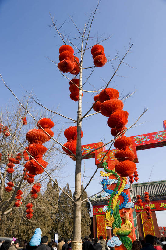 摄影师,竖图,彩色,室外,白天,仰视,树林,植物,北京,中国,春节,亚洲,游人,节日,庆祝,民俗,纸灯笼,冬季,庙会,文化,传统,东方,庆典,喜庆,晴天,纪念,文明,近景,中国文化,摄像师,地坛,bj174