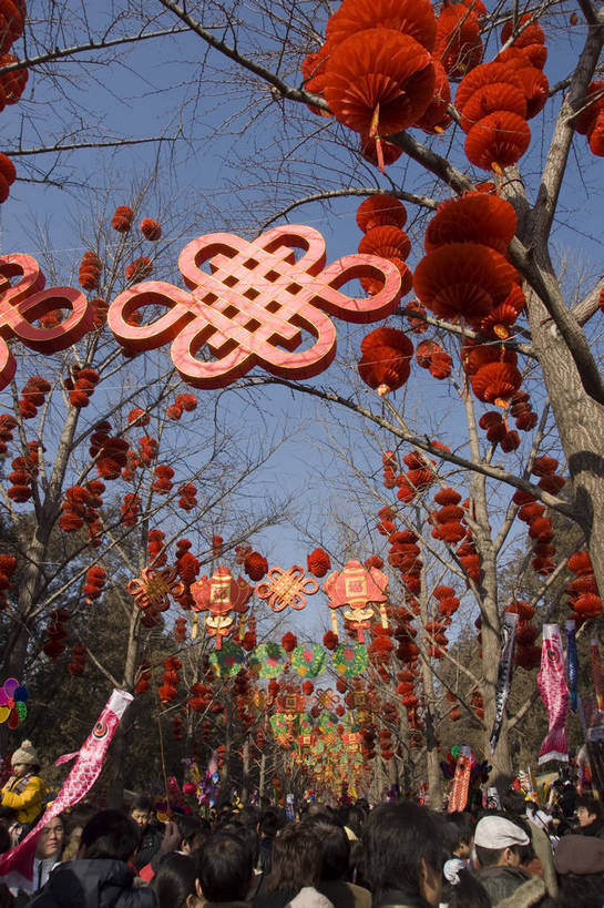 摄影师,竖图,彩色,室外,白天,北京,中国,春节,亚洲,游人,节日,庆祝,民俗,冬季,庙会,拥挤,文化,传统,红灯笼,东方,树木,庆典,喜庆,热闹,晴天,纪念,文明,近景,中国文化,摄像师,地坛,bj174