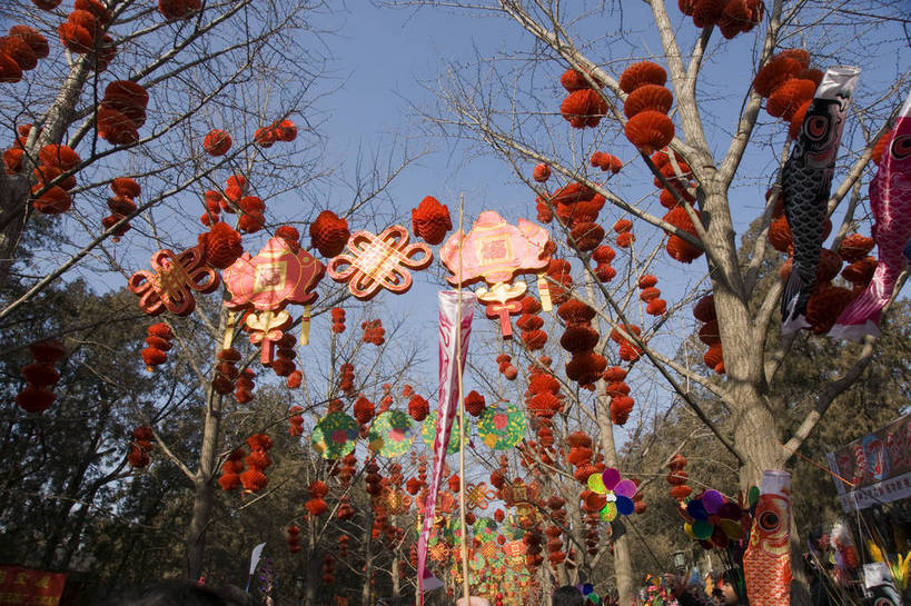 摄影师,横图,彩色,室外,白天,北京,中国,春节,亚洲,游人,节日,庆祝,民俗,冬季,庙会,文化,传统,红灯笼,东方,树木,庆典,喜庆,热闹,晴天,纪念,文明,近景,中国文化,摄像师,地坛,bj174