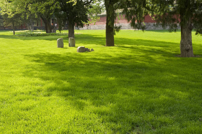 无人,摄影师,公园,横图,彩色,室外,白天,旅游,草坪,城市,北京,中国,亚洲,古老,壮观,文化遗产,围墙,古迹,历史,文化,文物,东方,树,名胜,绿色,风景,阳光,绿地,晴天,宁静,安宁,清新,文明,摄像师,世界文化遗产,天坛公园,旅行,bj174