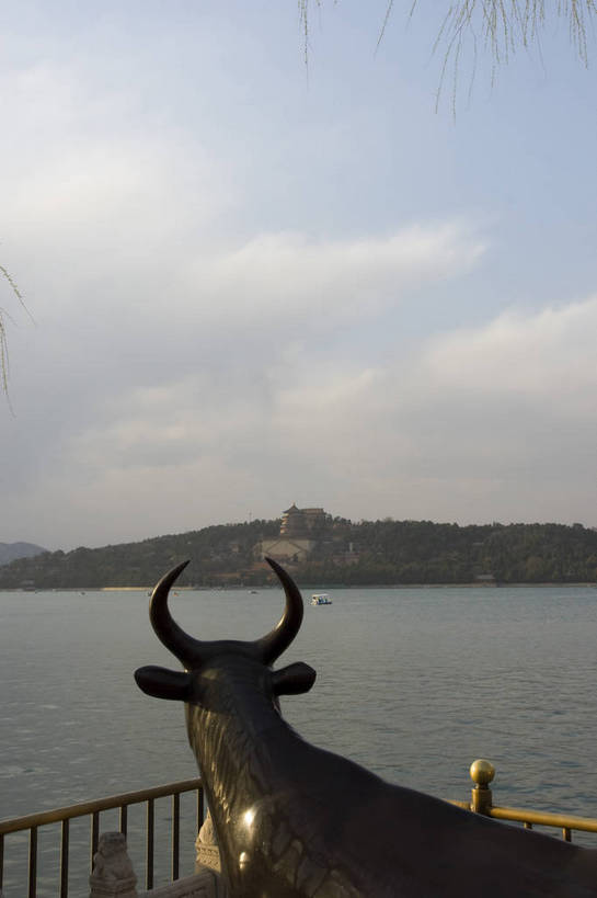 无人,摄影师,颐和园,竖图,彩色,室外,白天,牛,雕塑,北京,中国,亚洲,古老,古迹,历史,文化,文物,铜牛,东方,名胜,白云,蓝天,阳光,人工湖,和谐,摄影,宁静,优美,文明,摄像师,昆明湖,世界文化遗产,皇家园林,心旷神怡,祥和,旅行,bj174