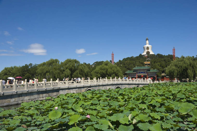 摄影师,横图,彩色,室外,白天,旅游,名胜古迹,建筑,北海公园,北京,中国,亚洲,游人,古老,古迹,历史,文化,文物,白塔,遗址,树木,名胜,风景,蓝天,阳光,荷塘,晴天,文明,摄像师,气势,幽静,荷花,bj174