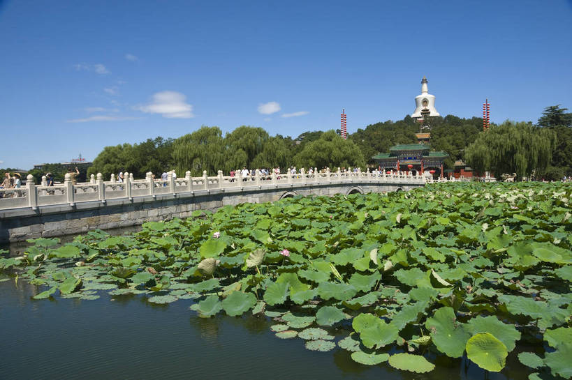 无人,摄影师,横图,彩色,室外,白天,旅游,名胜古迹,建筑,北海公园,北京,中国,亚洲,古老,古迹,历史,文化,文物,白塔,遗址,树木,名胜,风景,蓝天,阳光,荷塘,晴天,文明,摄像师,气势,幽静,荷花,bj174