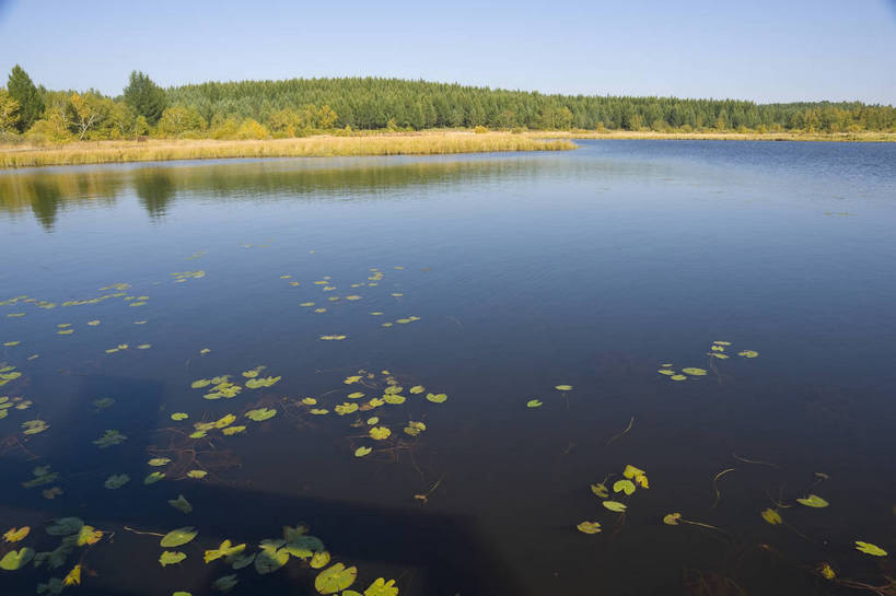 无人,摄影师,横图,彩色,室外,白天,旅游,草原,湖泊,美景,坝上,中国,亚洲,景观,辽阔,名胜,风景,蓝天,阳光,自然,景色,蒙,晴天,自然风光,东亚,摄像师,内蒙古,塞罕坝,中华人民共和国,华北地区,河北,河北省,冀,内蒙古自治区,鄂尔多斯市,承德,承德市,幽静,自然景观,丰宁县,大滩镇,坝上草原,丰宁满族自治县,京北第一草原,丰宁,杭锦旗,七星湖,bj174