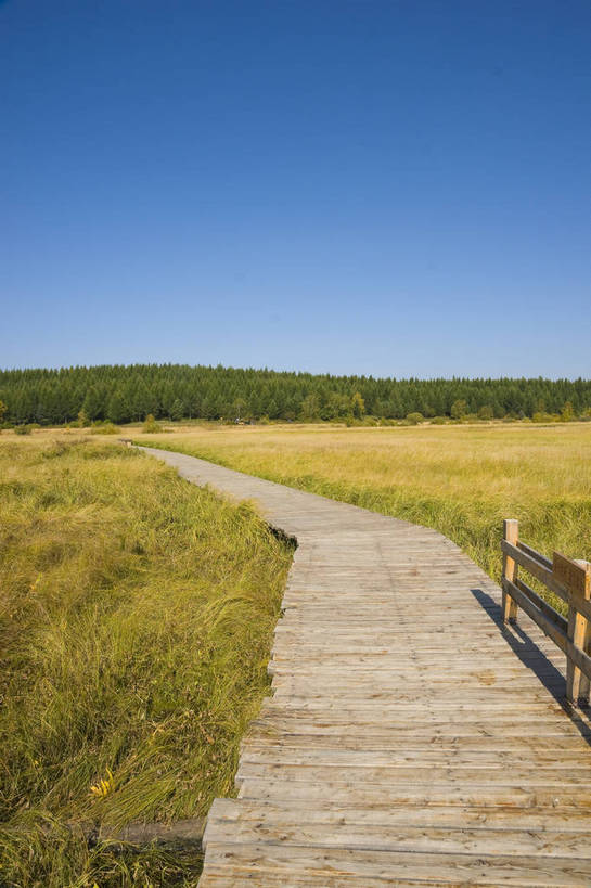 无人,摄影师,竖图,彩色,室外,白天,旅游,草原,美景,树林,坝上,中国,亚洲,景观,辽阔,名胜,风景,蓝天,阳光,自然,景色,蒙,木板路,晴天,自然风光,东亚,摄像师,内蒙古,塞罕坝,中华人民共和国,华北地区,河北,河北省,冀,内蒙古自治区,鄂尔多斯市,承德,承德市,幽静,秀美,自然景观,丰宁县,大滩镇,坝上草原,丰宁满族自治县,京北第一草原,丰宁,杭锦旗,七星湖,bj174
