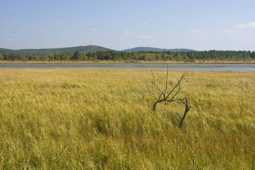 无人,摄影师,横图,彩色,室外,白天,旅游,草原,湖泊,美景,坝上,中国,亚洲,景观,辽阔,名胜,风景,蓝天,阳光,自然,景色,蒙,晴天,自然风光,东亚,摄像师,内蒙古,塞罕坝,中华人民共和国,华北地区,河北,河北省,冀,内蒙古自治区,鄂尔多斯市,承德,承德市,幽静,秀美,自然景观,丰宁县,大滩镇,坝上草原,丰宁满族自治县,京北第一草原,丰宁,杭锦旗,七星湖,bj174