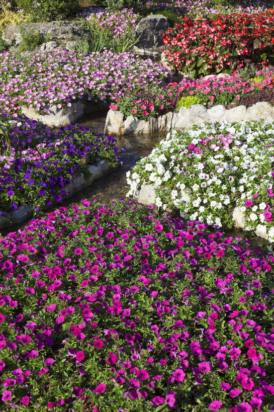 公园,竖图,彩色,室外,特写,白天,旅游,度假,名胜古迹,标志建筑,地标,建筑,西安,中国,遗迹,图片,景观,野花,古迹,文物,娱乐,建设,古建筑,花卉,小溪,自然,享受,休闲,旅游胜地,放松,摄影,园林,展览,古文明,陕西省,展览会,博览会,花博会,中国花卉博览会,bj174