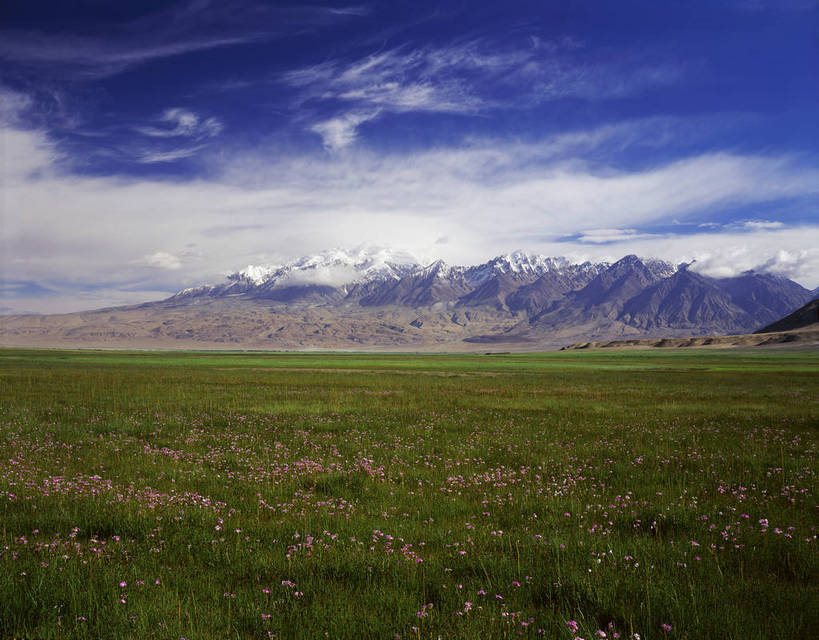 无人,横图,彩色,室外,白天,旅游,度假,草原,美景,名胜古迹,山脉,标志建筑,地标,建筑,中国,亚洲,遗迹,图片,古迹,文物,娱乐,建设,古建筑,白云,风景,蓝天,天空,自然,平原,群山,享受,休闲,远景,旅游胜地,放松,摄影,地理,风光,宁静,自然风光,古文明,东亚,新疆,帕米尔高原,中华人民共和国,新疆维吾尔自治区,西北地区,克孜勒苏,克孜勒苏柯尔,克孜勒苏柯尔克孜自治州,慕士塔格峰,塔什库尔干塔吉克自治县,阿克陶,阿克陶县,喀什地区,塔什库尔,慕士塔格山,新,bj174