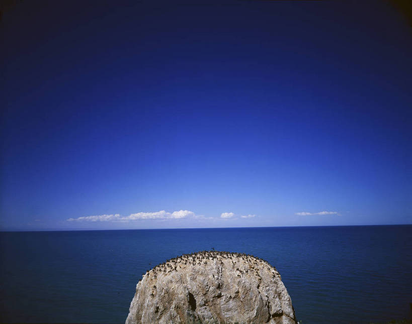 无人,横图,彩色,室外,白天,旅游,度假,湖,美景,名胜古迹,标志建筑,地标,建筑,鸟,青海湖,鸟岛,中国,亚洲,许多,遗迹,鸟类,图片,岛,很多,古迹,文物,娱乐,建设,古建筑,蓝色,白云,风景,蓝天,天空,自然,动物,享受,休闲,旅游胜地,放松,摄影,地理,风光,宁静,自然风光,古文明,东亚,青海,青海省,中华人民共和国,西北地区,青,咸水湖,青海湖鸟岛,bj174