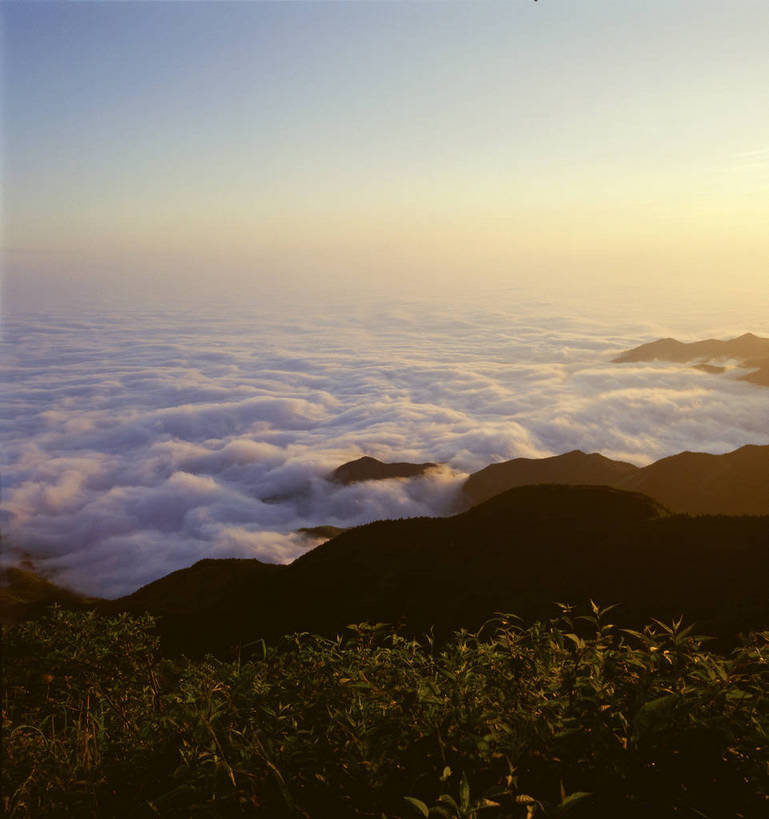 无人,竖图,彩色,室外,白天,旅游,度假,光晕,美景,名胜古迹,山,山脉,标志建筑,地标,建筑,衡山,中国,亚洲,遗迹,光影,图片,云海,云层,古迹,文物,娱乐,建设,古建筑,风景,天空,自然,享受,休闲,远景,旅游胜地,放松,摄影,地理,缭绕,风光,宁静,自然风光,晕,古文明,东亚,湖南,湖南省,南岳,中华人民共和国,华中地区,湘,衡阳,衡阳市,南岳衡山,五岳,寿岳,自然景观,bj174