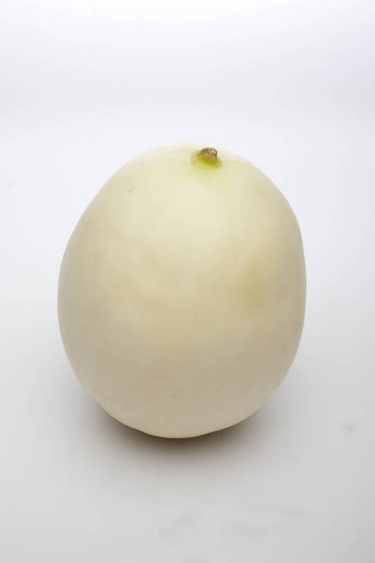 竖图,彩色,室内,特写,抠图,白色背景,水果,中国,亚洲,完整,新鲜,图片,瓜,美味,食品,营养,食物,一个,白色,摄影,无公害,东亚,健康食品,白兰瓜,影棚拍摄,bj174