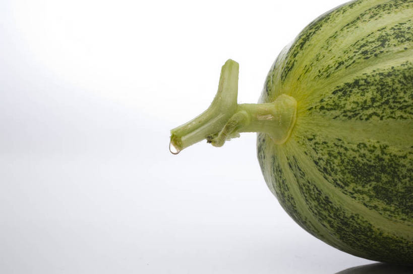 横图,彩色,室内,特写,抠图,白色背景,水果,中国,亚洲,完整,新鲜,图片,纹理,瓜,美味,食品,营养,食物,一个,绿色,摄影,无公害,东亚,健康食品,影棚拍摄,bj174