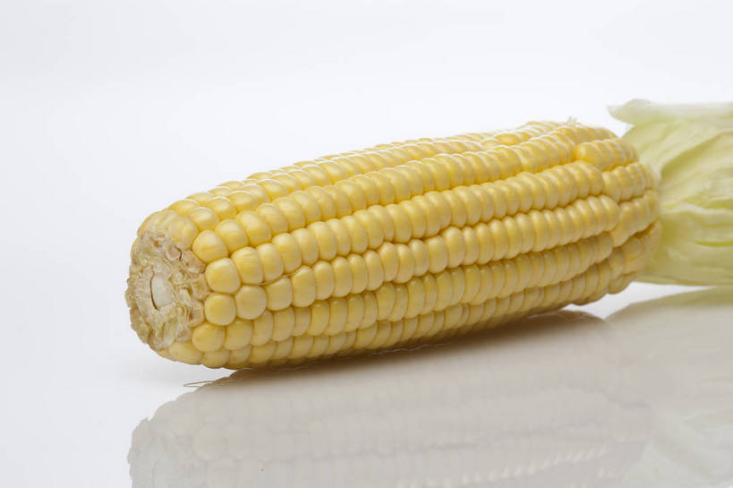 横图,彩色,室内,特写,抠图,白色背景,玉米,水果,中国,亚洲,完整,新鲜,图片,美味,食品,营养,粮食,食物,一个,摄影,苞米,无公害,东亚,健康食品,影棚拍摄,bj174