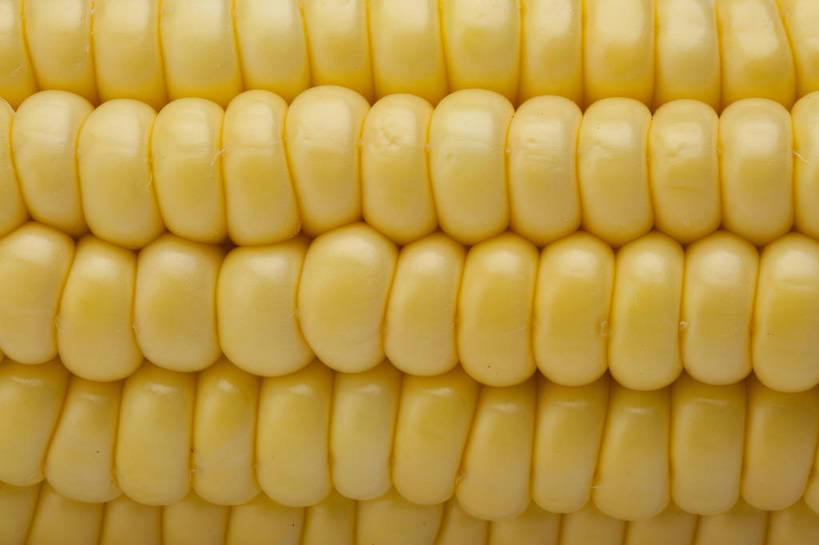横图,彩色,室内,特写,抠图,白色背景,玉米,水果,中国,亚洲,完整,新鲜,图片,美味,食品,营养,粮食,食物,一个,摄影,苞米,无公害,东亚,健康食品,影棚拍摄,bj174