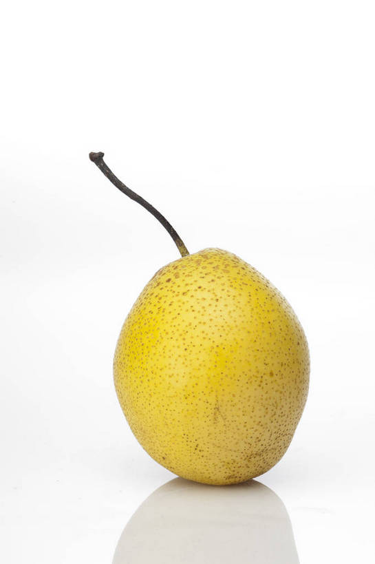 竖图,彩色,室内,特写,抠图,白色背景,梨,水果,中国,亚洲,完整,新鲜,图片,美味,食品,营养,食物,一个,黄色,香梨,摄影,无公害,东亚,健康食品,生梨,影棚拍摄,雪花梨,bj174